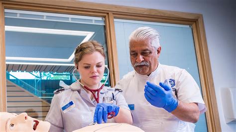 Adult Nursing BSc (Hons) .